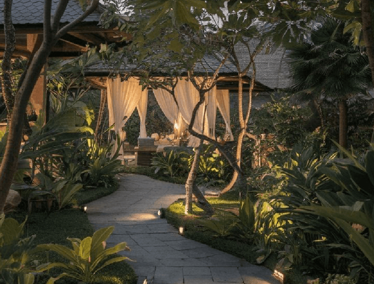 Personalized Treatment Programs